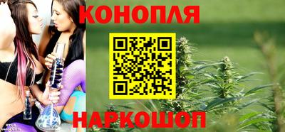 бошки Кимры