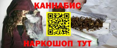 мет Кингисепп