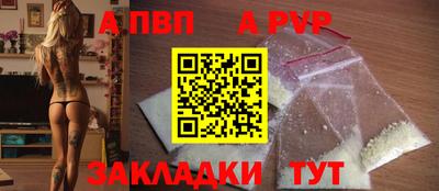 мет Кингисепп