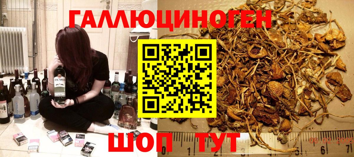 Псилоцибиновые грибы ЛСД  Псилоцибиновые грибы мицелий  Вход с VPN  Камышлов 